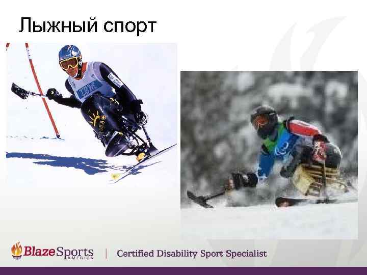 Лыжный спорт 