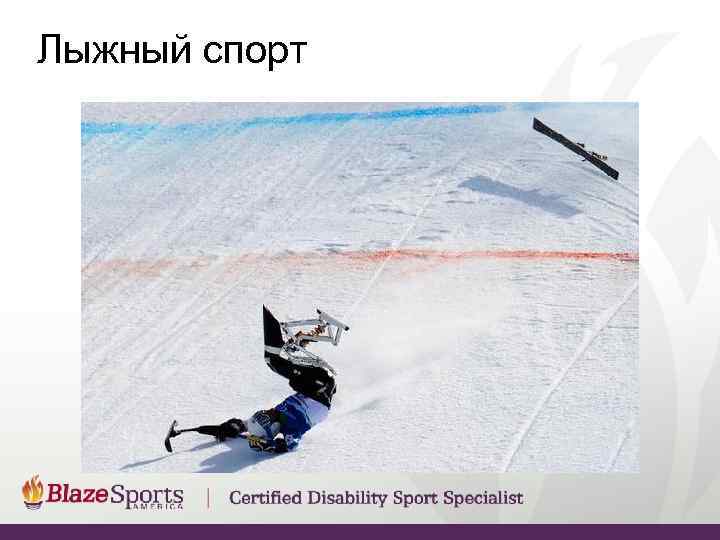 Лыжный спорт 