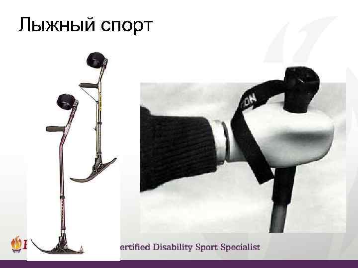 Лыжный спорт 