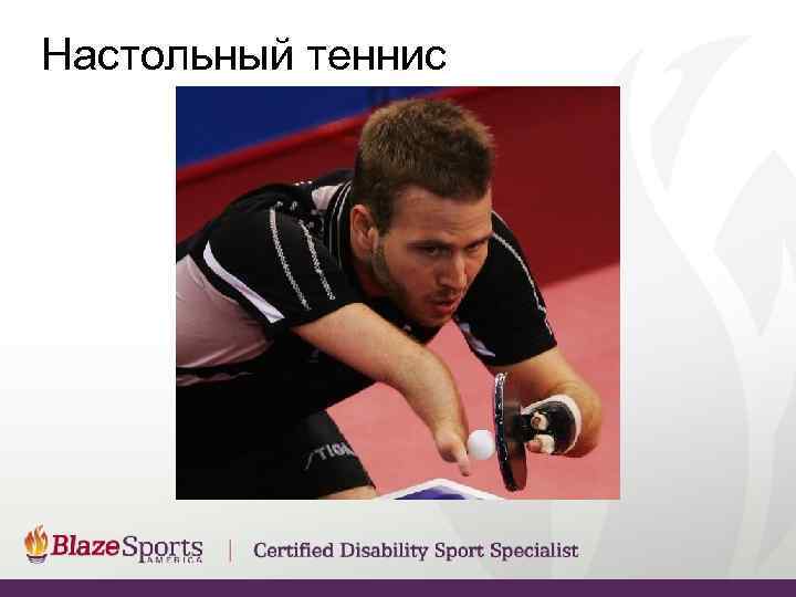 Настольный теннис 