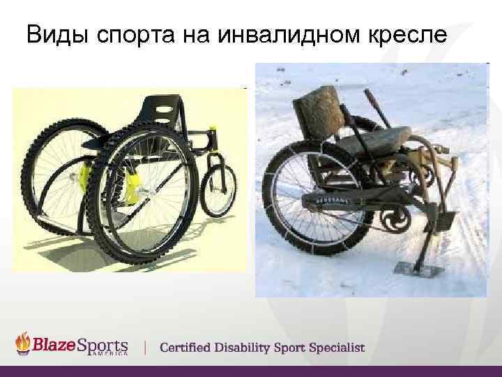 Виды спорта на инвалидном кресле 