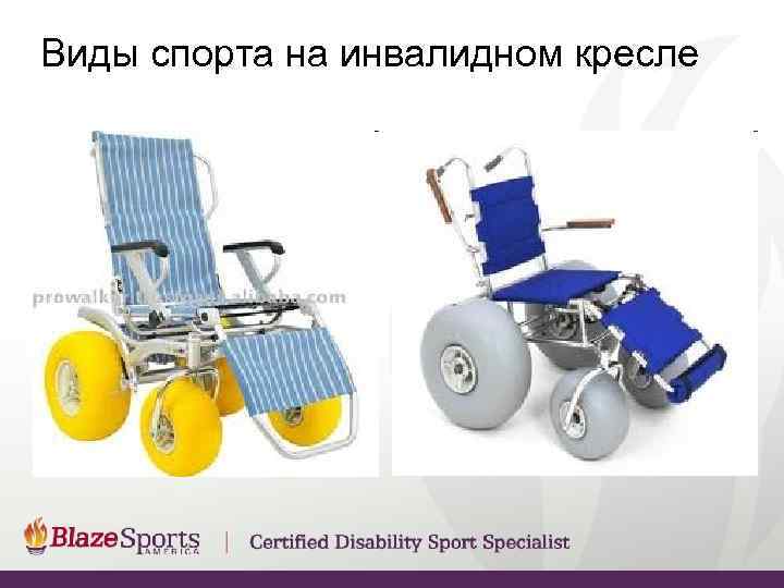 Виды спорта на инвалидном кресле 