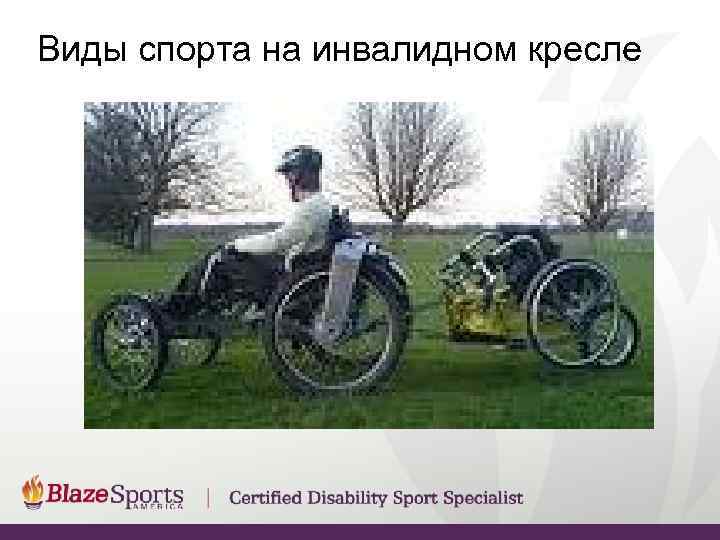 Виды спорта на инвалидном кресле 