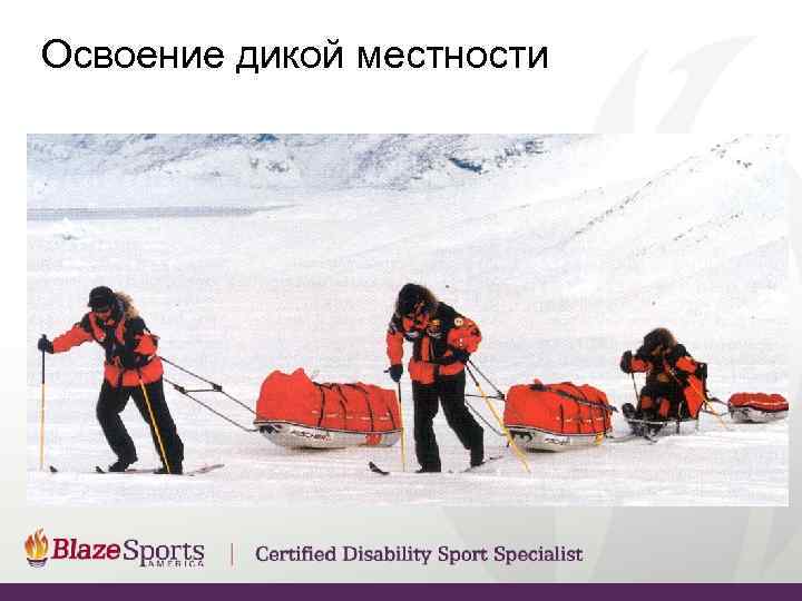 Освоение дикой местности 