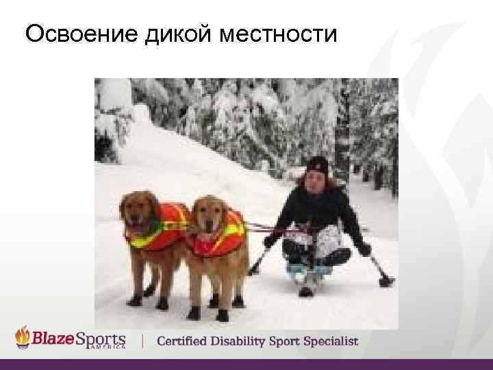 Освоение дикой местности 