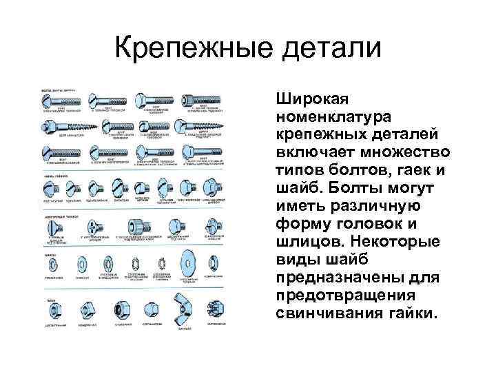 Крепежные детали Широкая номенклатура крепежных деталей включает множество типов болтов, гаек и шайб. Болты