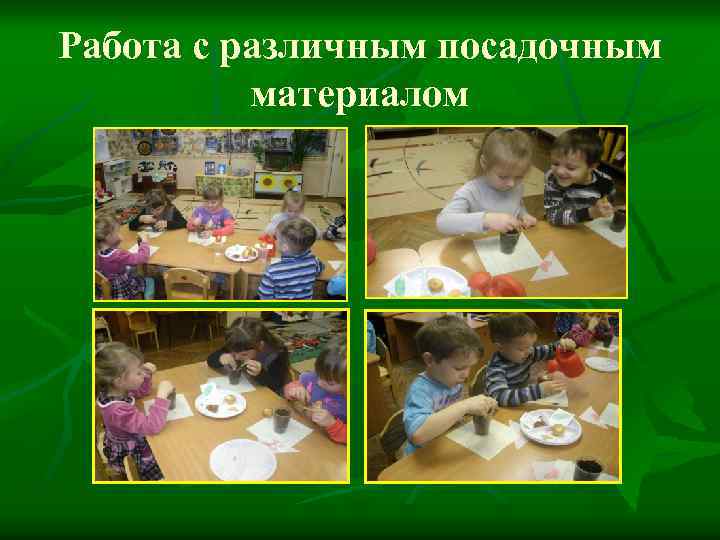 Работа с различным посадочным материалом 