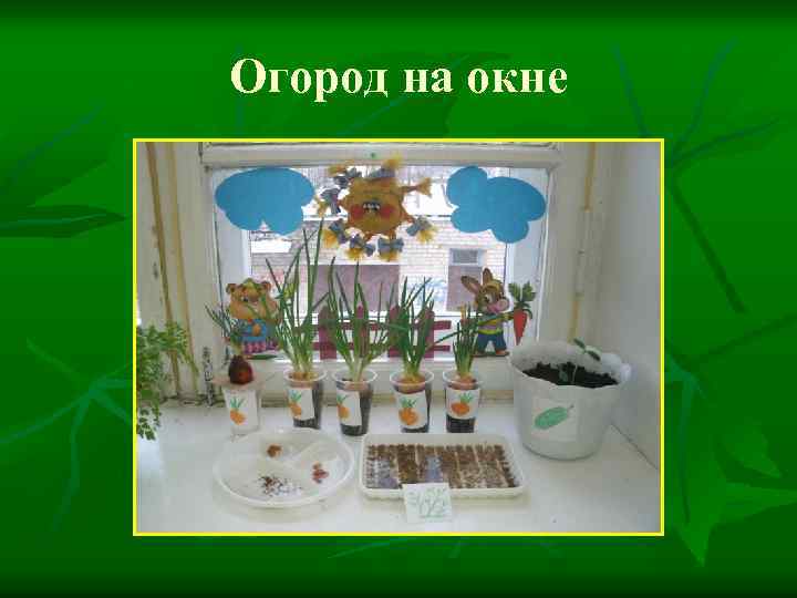 Огород на окне 