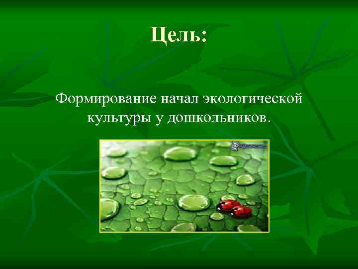 Цель: Формирование начал экологической культуры у дошкольников. 