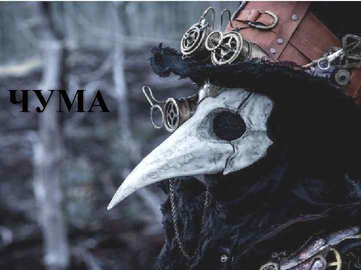 ЧУМА 