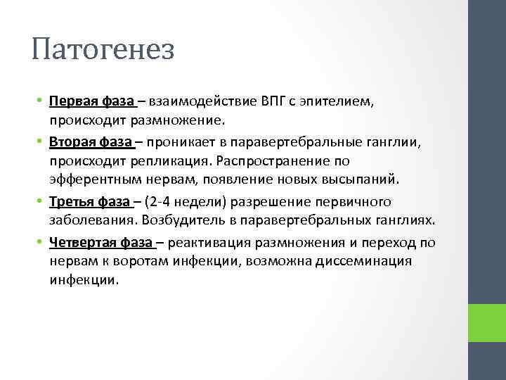 Патогенез • Первая фаза – взаимодействие ВПГ с эпителием, происходит размножение. • Вторая фаза