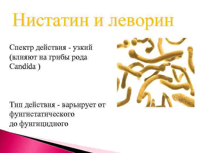 Нистатин и леворин Спектр действия - узкий (влияют на грибы рода Candida ) Тип