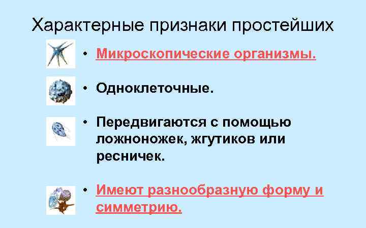 Характерные признаки простейших • Микроскопические организмы. • Одноклеточные. • Передвигаются с помощью ложноножек, жгутиков