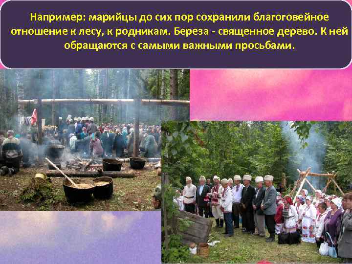 Например: марийцы до сих пор сохранили благоговейное отношение к лесу, к родникам. Береза -