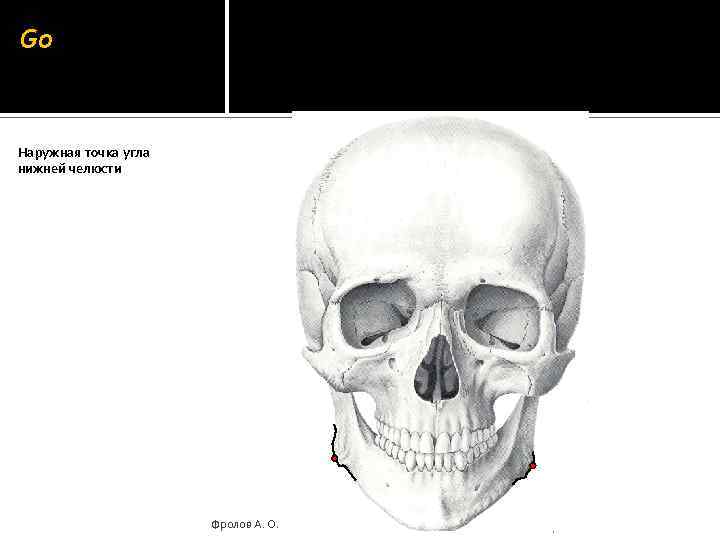 Go Наружная точка угла нижней челюсти Фролов А. О. 