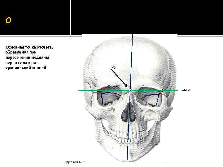 О Основная точка отсчета, образуемая при пересечении медианы черепа с латерокраниальной линией O Lat-Lat