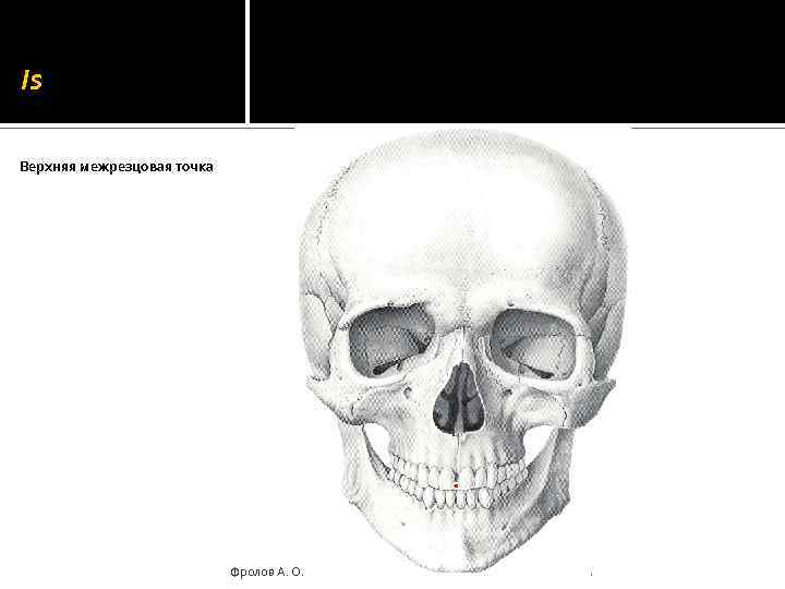 Is Верхняя межрезцовая точка Фролов А. О. 