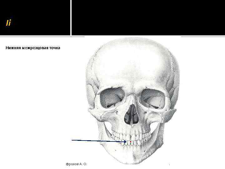 Ii Нижняя межрезцовая точка Фролов А. О. 