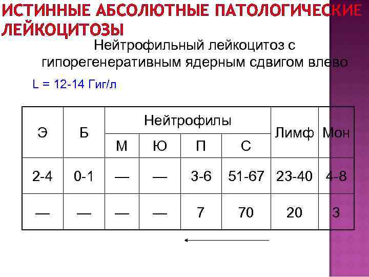ИСТИННЫЕ АБСОЛЮТНЫЕ ПАТОЛОГИЧЕСКИЕ ЛЕЙКОЦИТОЗЫ Нейтрофильный лейкоцитоз с гипорегенеративным ядерным сдвигом влево L = 12