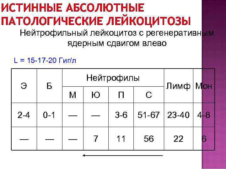 ИСТИННЫЕ АБСОЛЮТНЫЕ ПАТОЛОГИЧЕСКИЕ ЛЕЙКОЦИТОЗЫ Нейтрофильный лейкоцитоз с регенеративным ядерным сдвигом влево L = 15