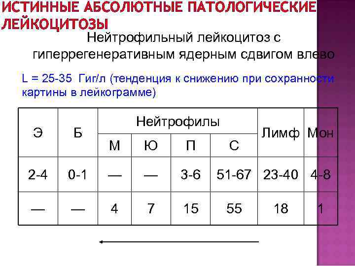 ИСТИННЫЕ АБСОЛЮТНЫЕ ПАТОЛОГИЧЕСКИЕ ЛЕЙКОЦИТОЗЫ Нейтрофильный лейкоцитоз с гиперрегенеративным ядерным сдвигом влево L = 25