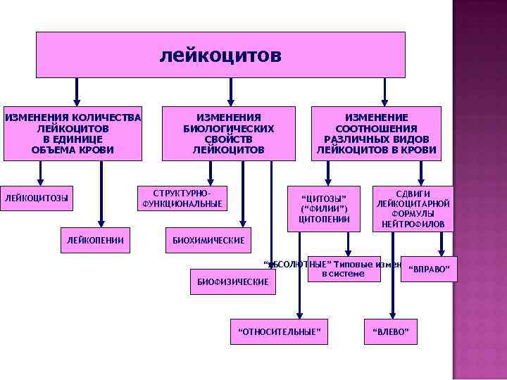 лейкоцитов ИЗМЕНЕНИЯ КОЛИЧЕСТВА ЛЕЙКОЦИТОВ В ЕДИНИЦЕ ОБЪЕМА КРОВИ ЛЕЙКОЦИТОЗЫ ЛЕЙКОПЕНИИ ИЗМЕНЕНИЯ БИОЛОГИЧЕСКИХ СВОЙСТВ ЛЕЙКОЦИТОВ