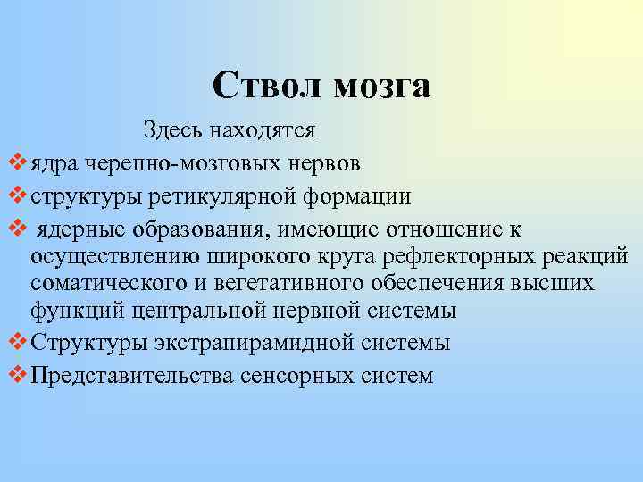 Ствол мозга Здесь находятся v ядра черепно-мозговых нервов v структуры ретикулярной формации v ядерные