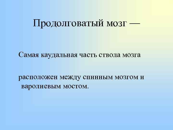 Продолговатый мозг — Самая каудальная часть ствола мозга расположен между спинным мозгом и варолиевым