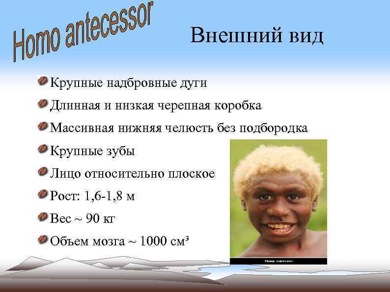 Внешний вид Крупные надбровные дуги Длинная и низкая черепная коробка Массивная нижняя челюсть без