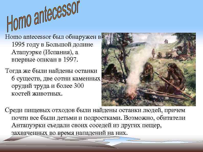 Homo antecessor был обнаружен в 1995 году в Большой долине Атапуэрке (Испания), а впервые