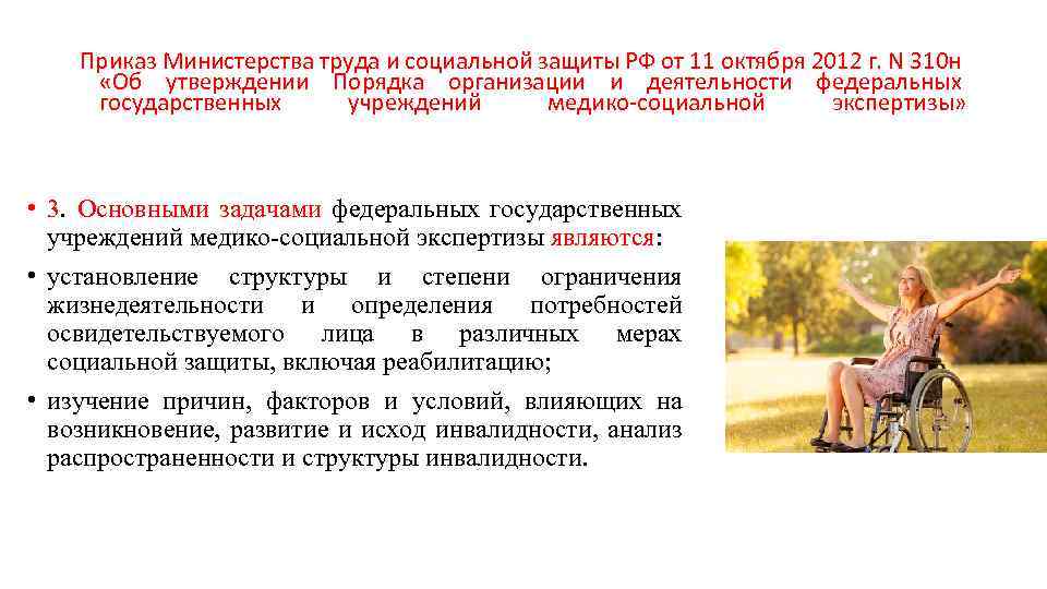 Приказ Министерства труда и социальной защиты РФ от 11 октября 2012 г. N 310