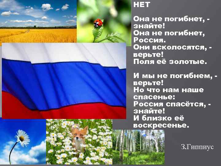  НЕТ Она не погибнет, знайте! Она не погибнет, Россия. Они всколосятся, верьте! Поля