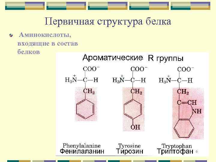 Первичную структуру белков определяет. Первичная структура белка аминокислоты. Структурное звено белков. Структурное звено белка. Первичная структура аминокислот.