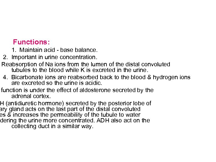 Functions: 1. Maintain acid - base balance. 2. Important in urine concentration. Reabsorption of