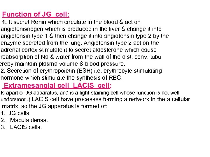 Function of JG_cell: 1. It secret Renin which circulate in the blood & act