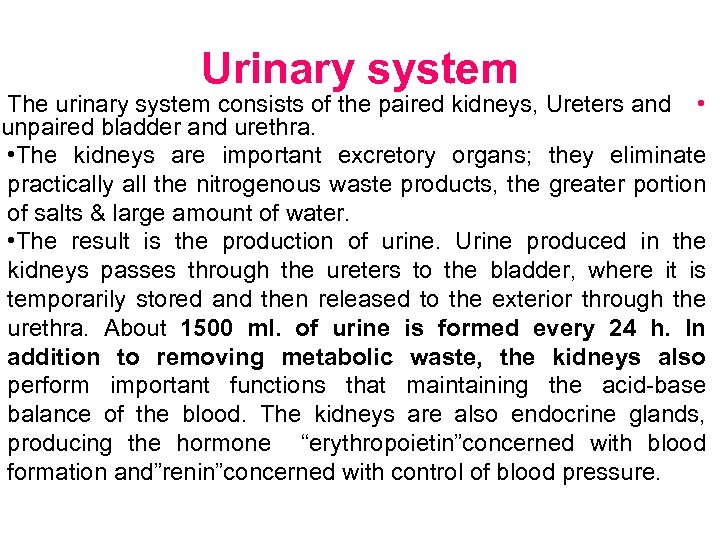 Urinary system The urinary system consists of the paired kidneys, Ureters and • unpaired