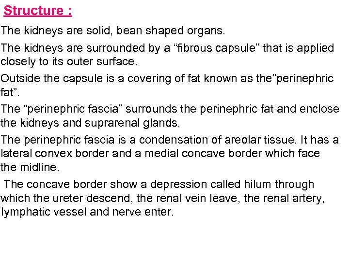 Structure : The kidneys are solid, bean shaped organs. The kidneys are surrounded by