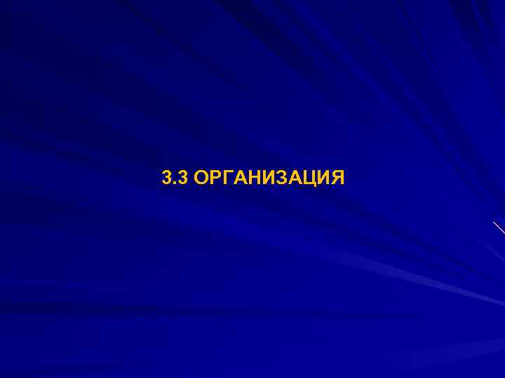 3. 3 ОРГАНИЗАЦИЯ 