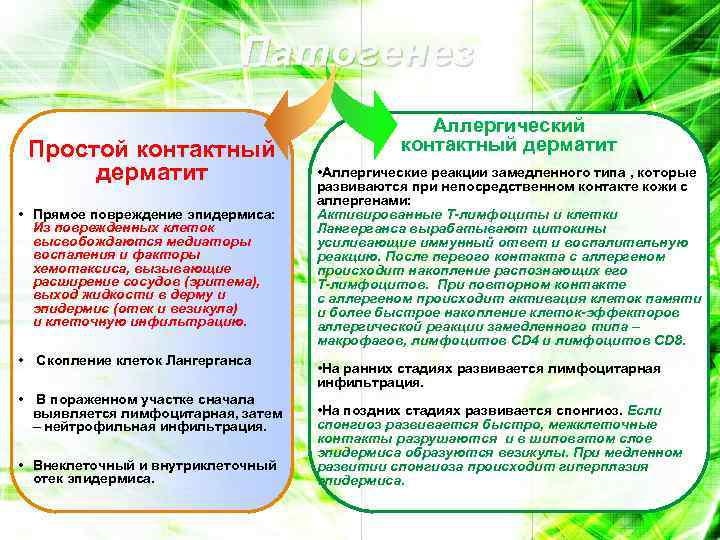 Патогенез Простой контактный дерматит • Прямое повреждение эпидермиса: Из поврежденных клеток высвобождаются медиаторы воспаления