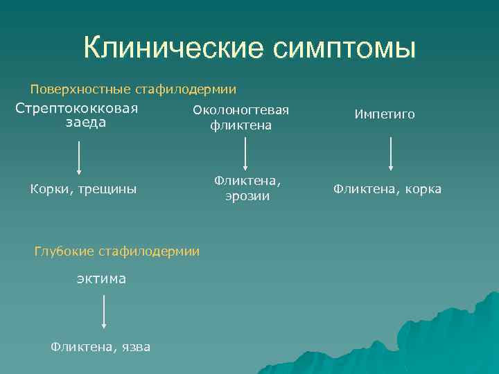 Клинические симптомы Поверхностные стафилодермии Стрептококковая заеда Околоногтевая фликтена Корки, трещины Глубокие стафилодермии эктима Фликтена,