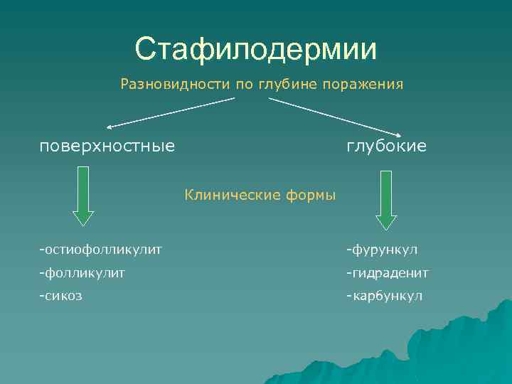 Стафилодермии Разновидности по глубине поражения поверхностные глубокие Клинические формы -остиофолликулит -фурункул -фолликулит -гидраденит -сикоз