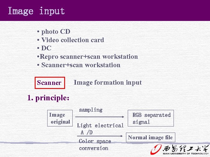 Image input • photo CD • Video collection card • DC • Repro scanner+scan