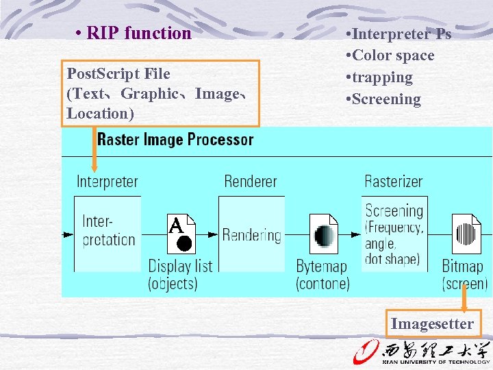 • RIP function Post. Script File (Text、Graphic、Image、 Location) • Interpreter Ps • Color