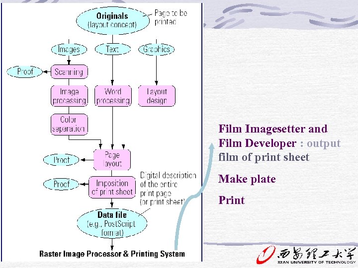Film Imagesetter and Film Developer : output film of print sheet Make plate Print