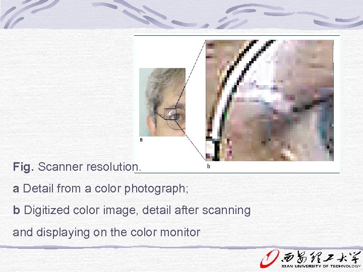 Fig. Scanner resolution. a Detail from a color photograph; b Digitized color image, detail