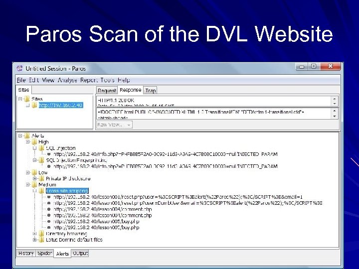 Paros Scan of the DVL Website 