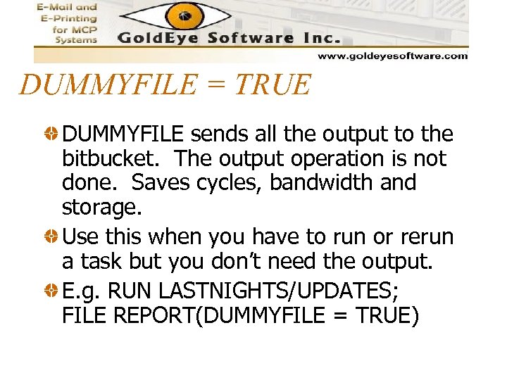 DUMMYFILE = TRUE DUMMYFILE sends all the output to the bitbucket. The output operation