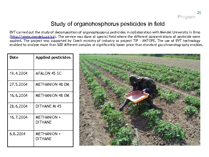 Program 25 Study of organohosphorus pesticides in field BVT carried out the study of