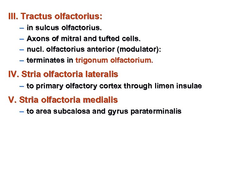 ІІІ. Tractus olfactorius: – – in sulcus olfactorius. Axons of mitral and tufted cells.