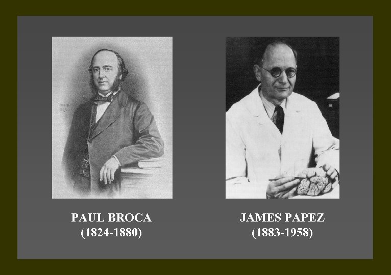 PAUL BROCA (1824 -1880) JAMES PAPEZ (1883 -1958) 